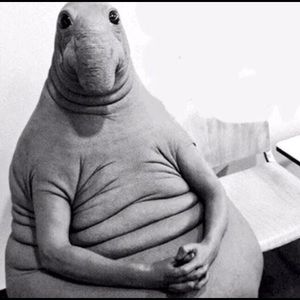 Meet your Posher, Vernon